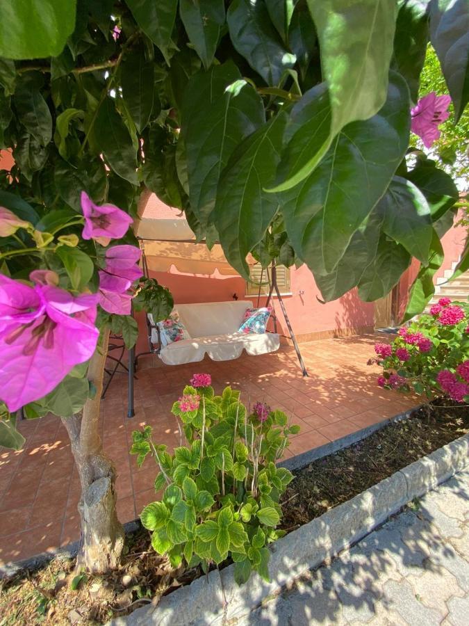 Silvi Paese B&B Santa Lucia מראה חיצוני תמונה