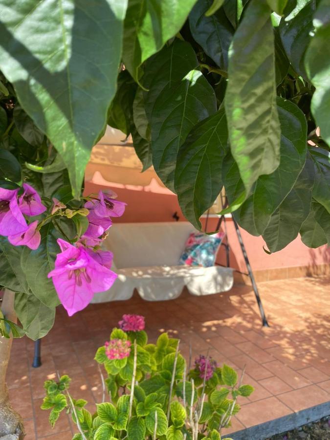 Silvi Paese B&B Santa Lucia מראה חיצוני תמונה